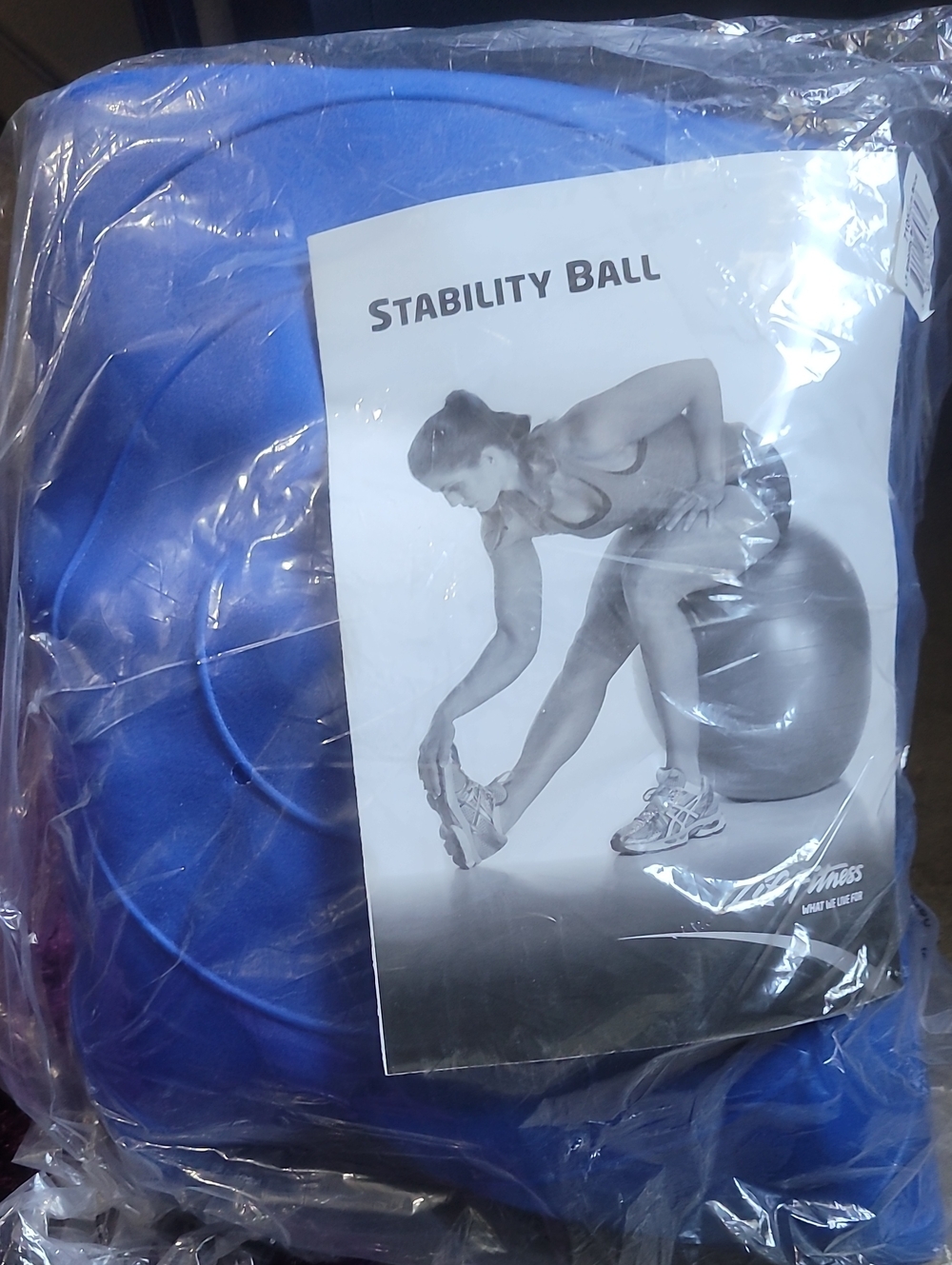 Blue Stability Exercise Ball - Unbranded